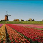 Passeio Privativo a Keukenhof